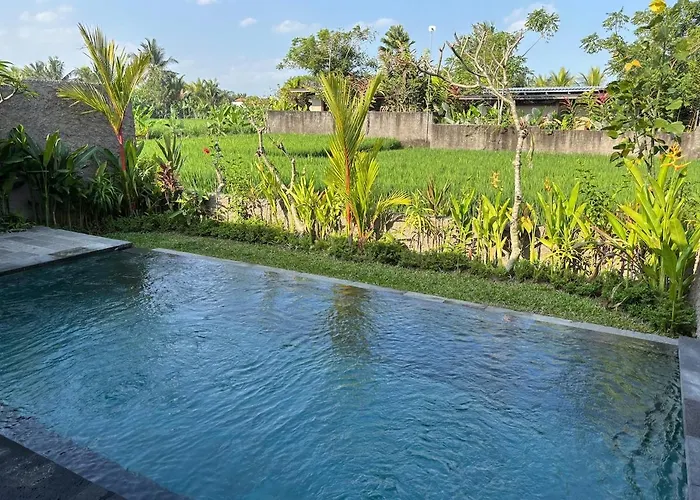 Luxury Wooden Private Pool & Rice Field View Ubud (Bali)