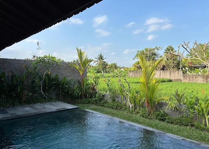 Luxury Wooden Private Pool & Rice Field View * Ubud (Bali)