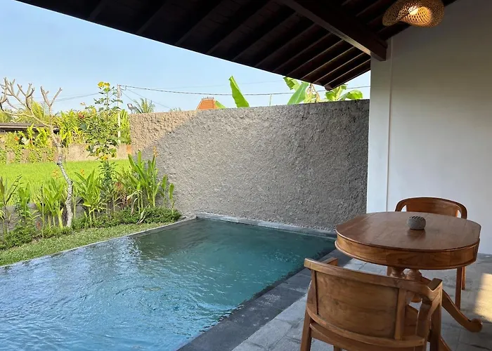 Luxury Wooden Private Pool & Rice Field View Ubud (Bali)