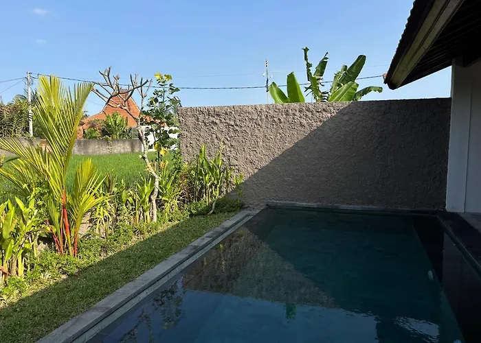 Villa Luxury Wooden Private Pool & Rice Field View