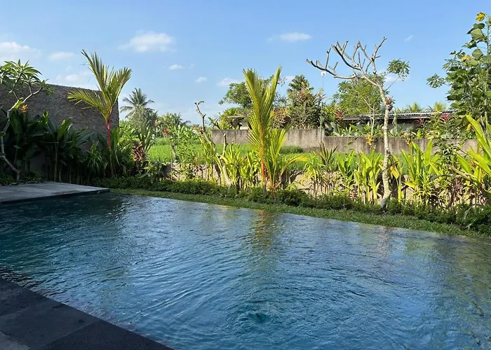 Luxury Wooden Private Pool & Rice Field View Villa