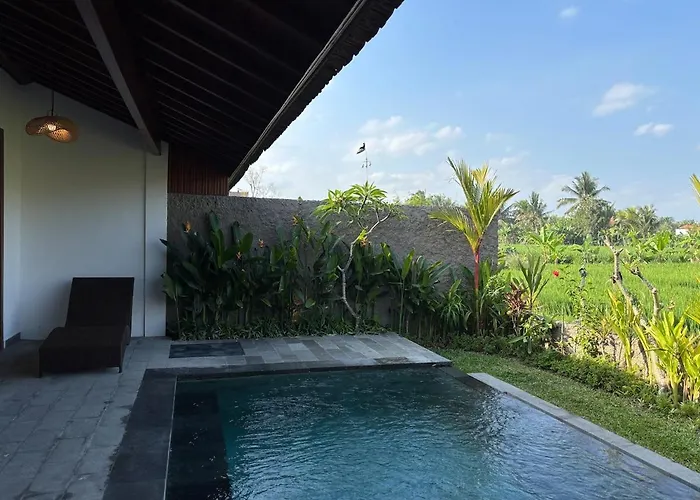Luxury Wooden Private Pool & Rice Field View
