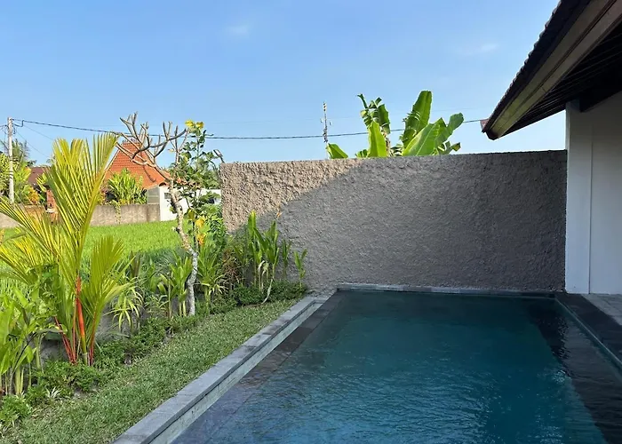 Villa Luxury Wooden Private Pool & Rice Field View