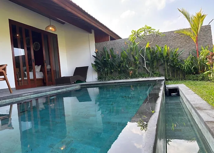 Luxury Wooden Private Pool & Rice Field View Villa
