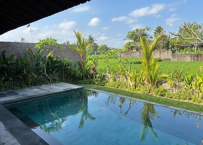 Luxury Wooden Private Pool & Rice Field View Villa Ubud (Bali)