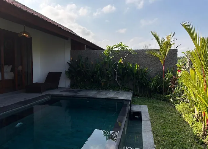Luxury Wooden Private Pool & Rice Field View Ubud (Bali)